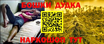 гашик Новодвинск