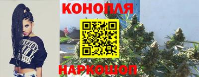 ECSTASY Обь