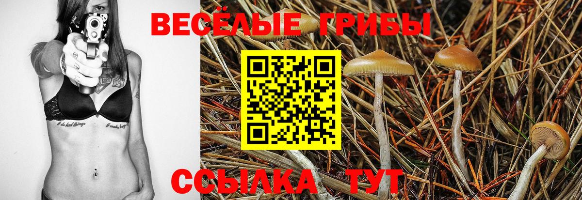 Галлюциногенные грибы мухоморы Верхняя Салда