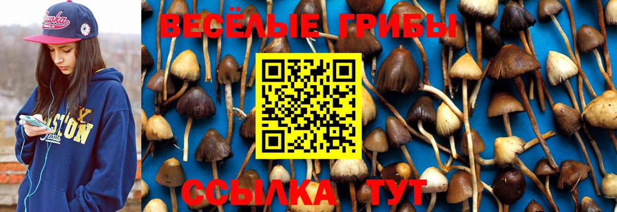 купить  цена  Галлюциногенные грибы мухоморы  Вход с VPN  Верхняя Салда 